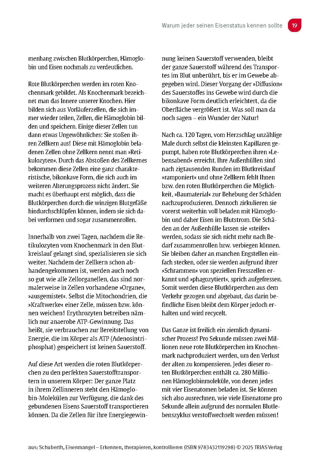 Bild: 9783432119298 | Eisenmangel - Erkennen, therapieren, kontrollieren | Schuberth | Buch
