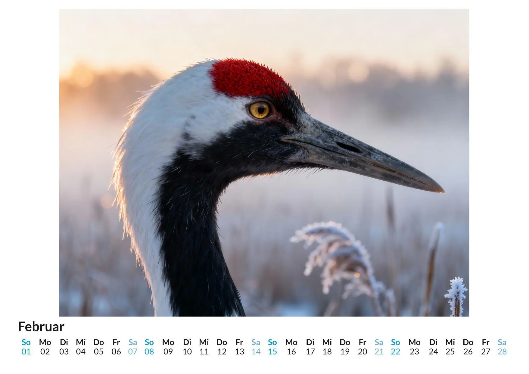 Bild: 9783695329298 | Kranich | Theo Schubert | Kalender | Deutsch | 2026 | FlipFlop