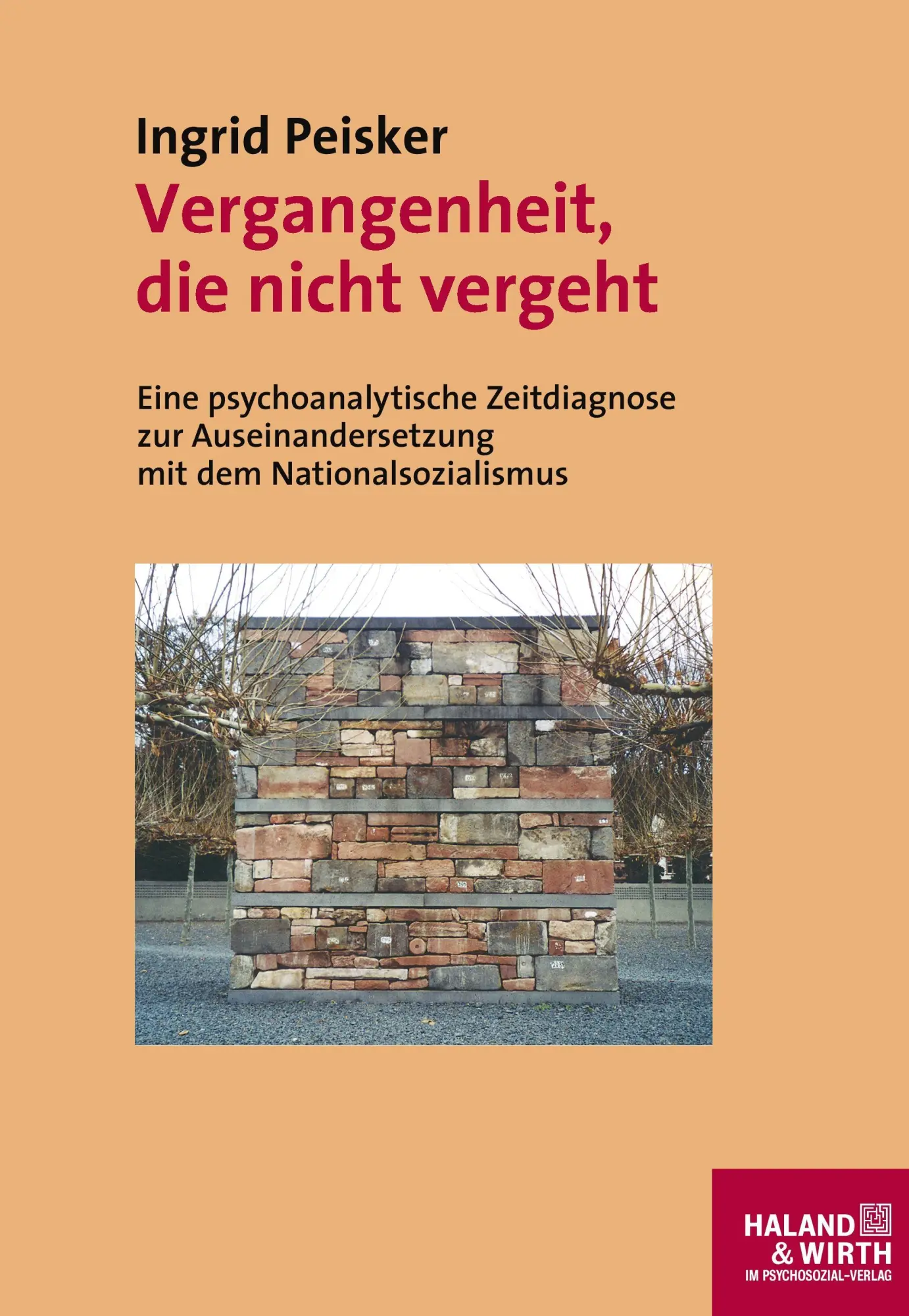 Cover: 9783898069298 | Vergangenheit, die nicht vergeht | Ingrid Peisker | Buch | 804 S.