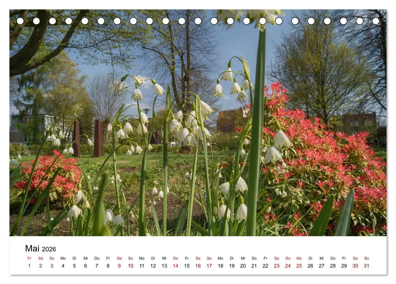 Bild: 9783457889398 | Buxtehude - Eine Perle in Niedersachsen (Tischkalender 2026 DIN A5...