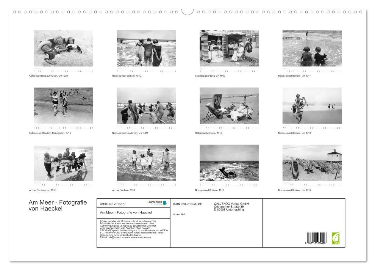 Bild: 9783516039498 | Am Meer - Fotografie von Haeckel (Wandkalender 2026 DIN A2 quer),...
