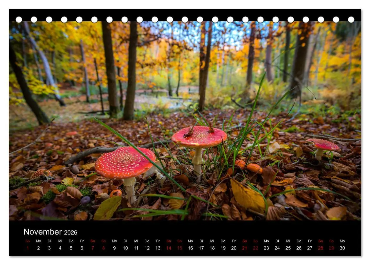 Bild: 9783457869598 | Naturwunder Norddeutschlands (Tischkalender 2026 DIN A5 quer),...
