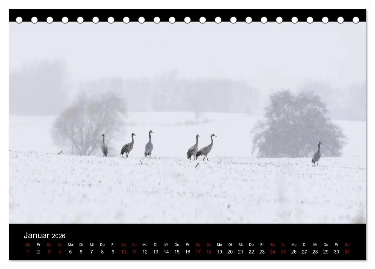 Bild: 9783457869598 | Naturwunder Norddeutschlands (Tischkalender 2026 DIN A5 quer),...