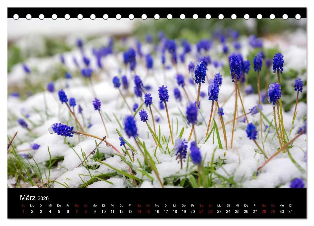 Bild: 9783457869598 | Naturwunder Norddeutschlands (Tischkalender 2026 DIN A5 quer),...