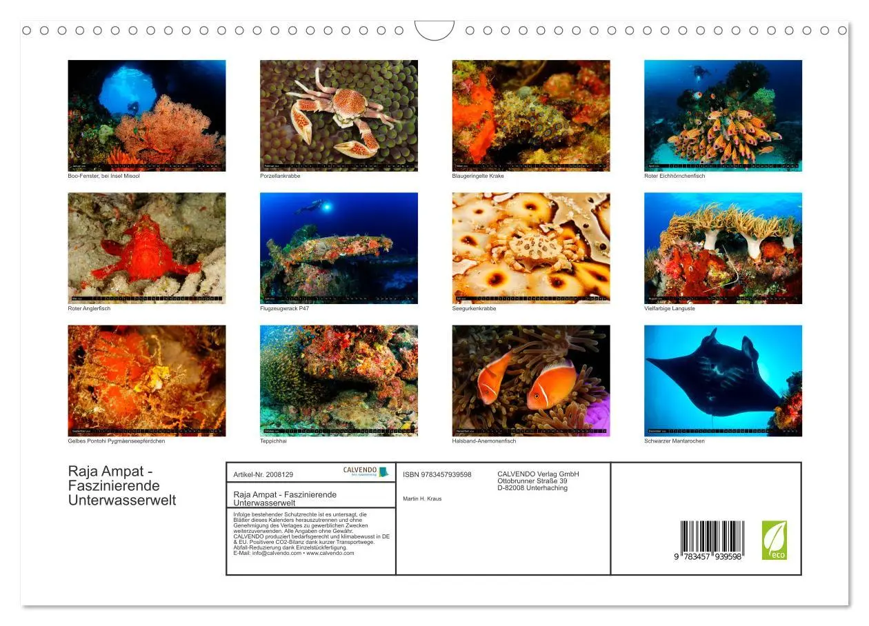 Bild: 9783457939598 | Raja Ampat - Faszinierende Unterwasserwelt (Wandkalender 2026 DIN...