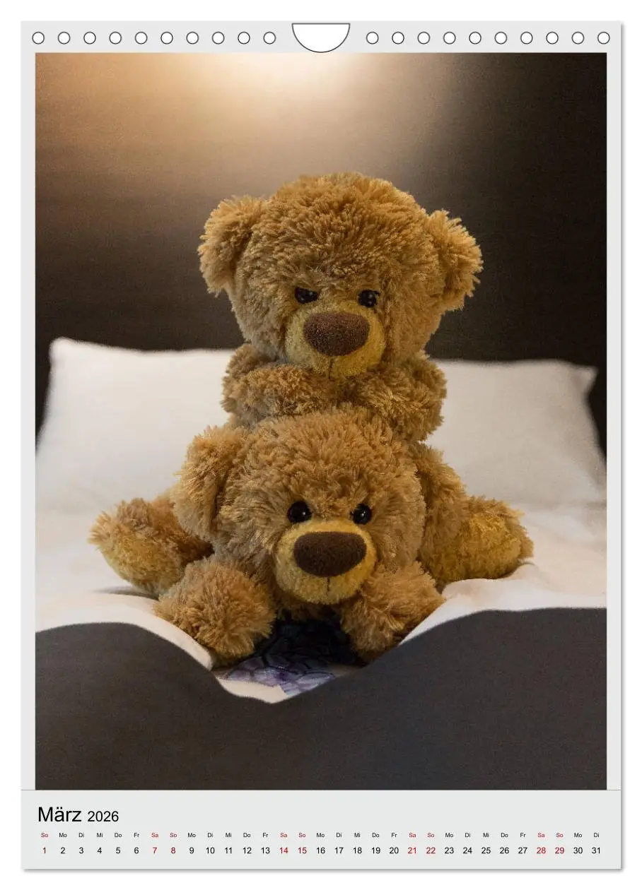 Bild: 9783516409598 | Travelling Teddy in Europa (Wandkalender 2026 DIN A4 hoch),...