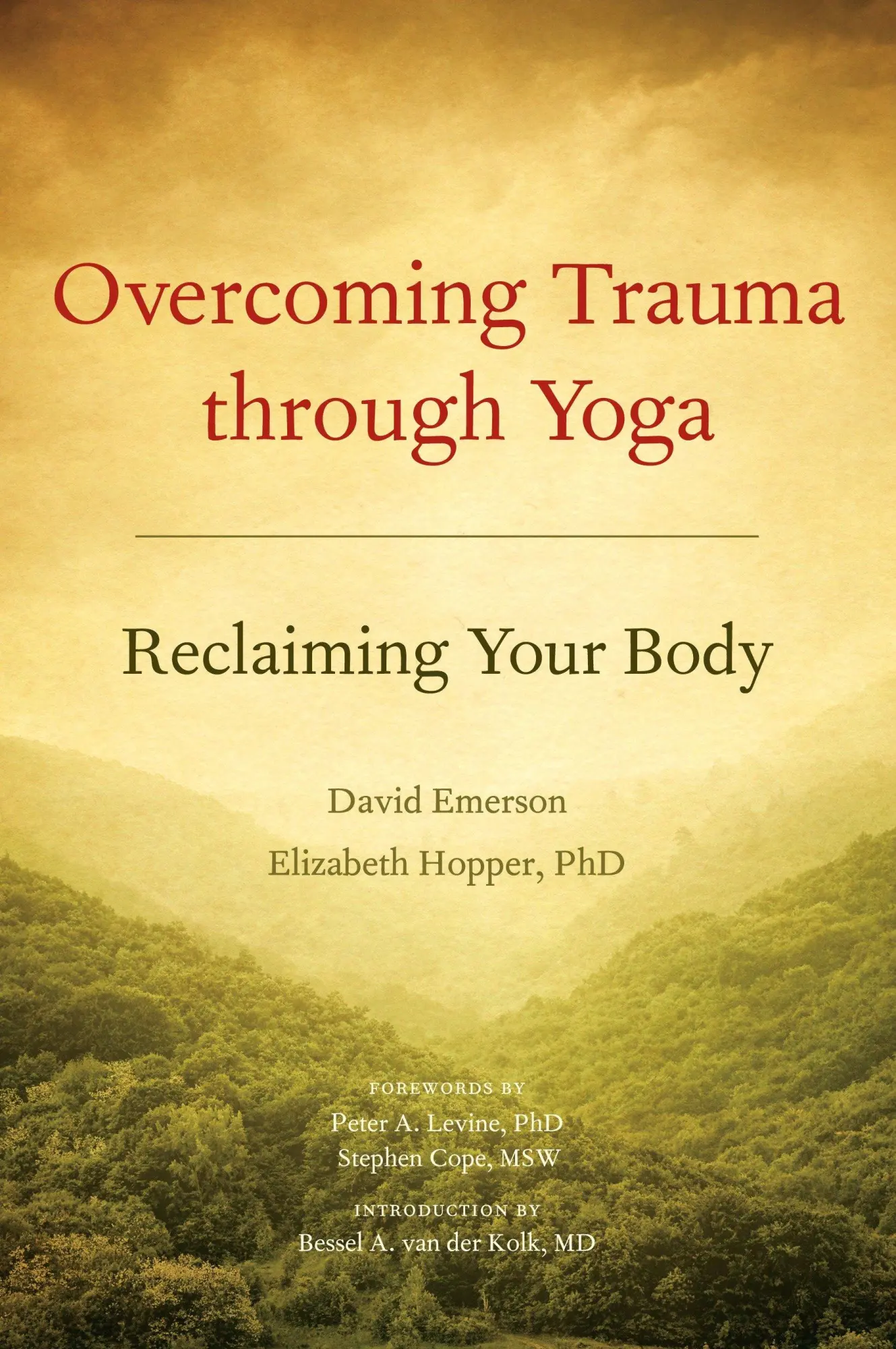 Cover: 9781556439698 | Overcoming Trauma Through Yoga | Reclaiming Your Body | Taschenbuch