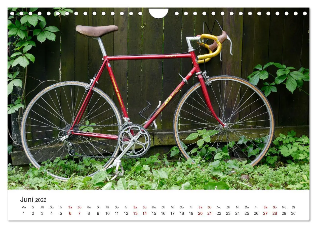 Bild: 9783457549698 | Stahlrenner - Rennrad-Klassiker aus Europa (Wandkalender 2026 DIN...