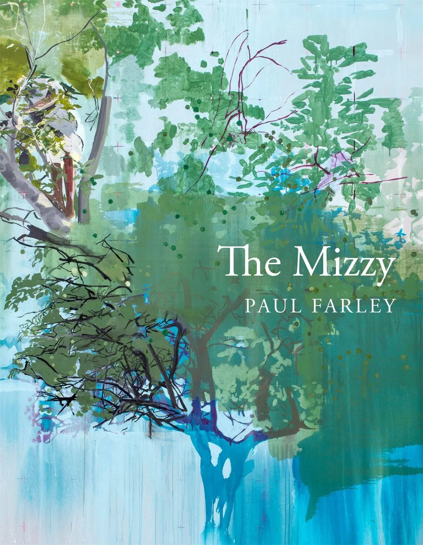 Cover: 9781529009798 | The Mizzy | Paul Farley | Buch | X | Englisch | 2019 | Pan Macmillan