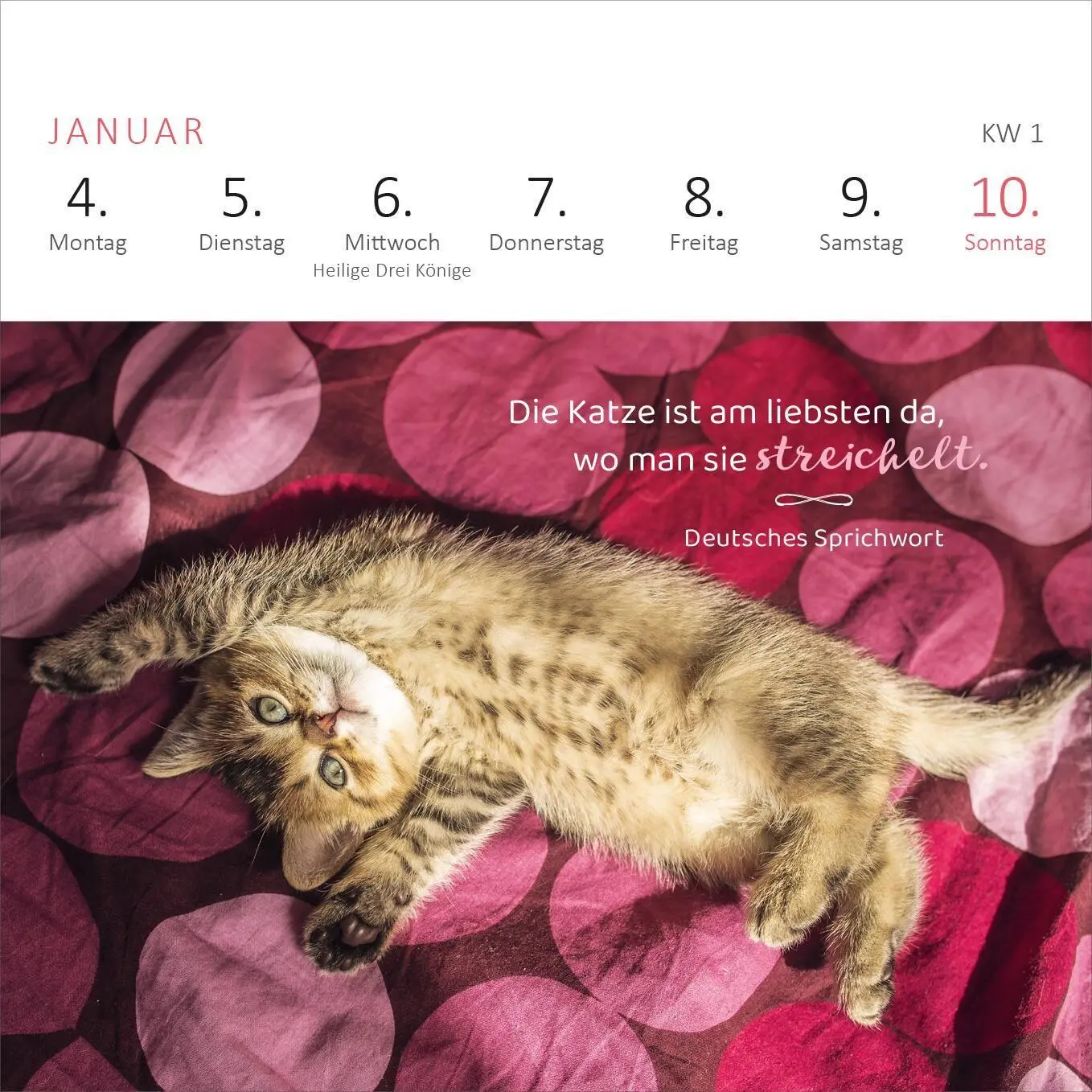 Bild: 4014489139898 | Mini-Wochenkalender Katzenweisheiten 2027 | Kalender | 108 S. | 2027