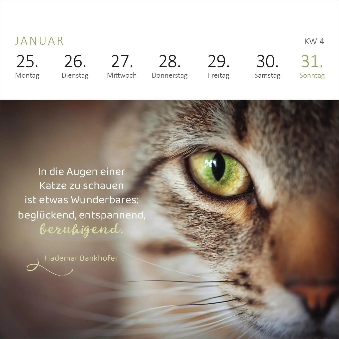 Bild: 4014489139898 | Mini-Wochenkalender Katzenweisheiten 2027 | Kalender | 108 S. | 2027
