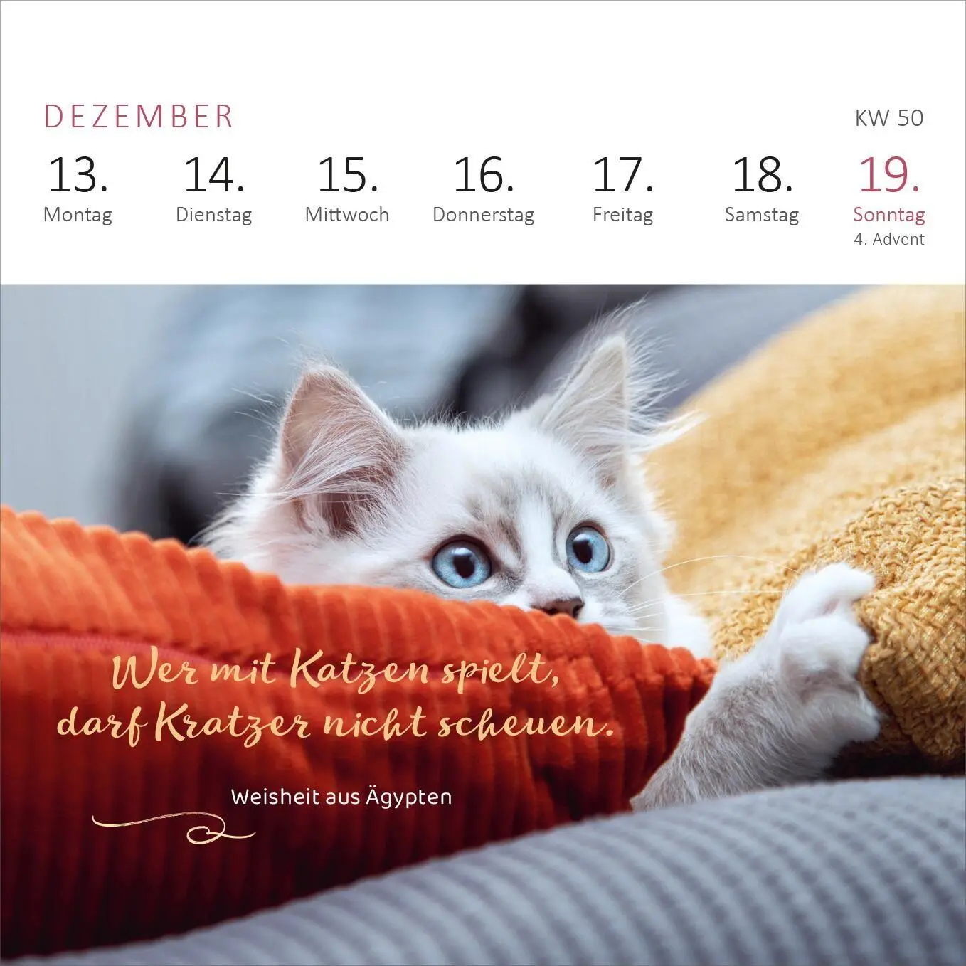 Bild: 4014489139898 | Mini-Wochenkalender Katzenweisheiten 2027 | Kalender | 108 S. | 2027
