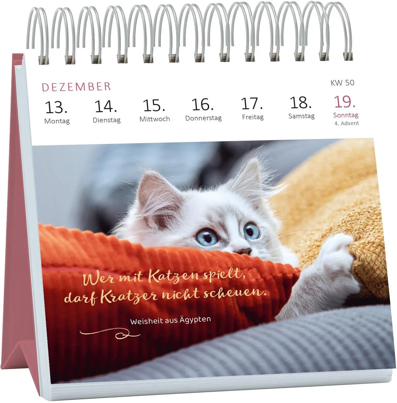 Bild: 4014489139898 | Mini-Wochenkalender Katzenweisheiten 2027 | Kalender | 108 S. | 2027