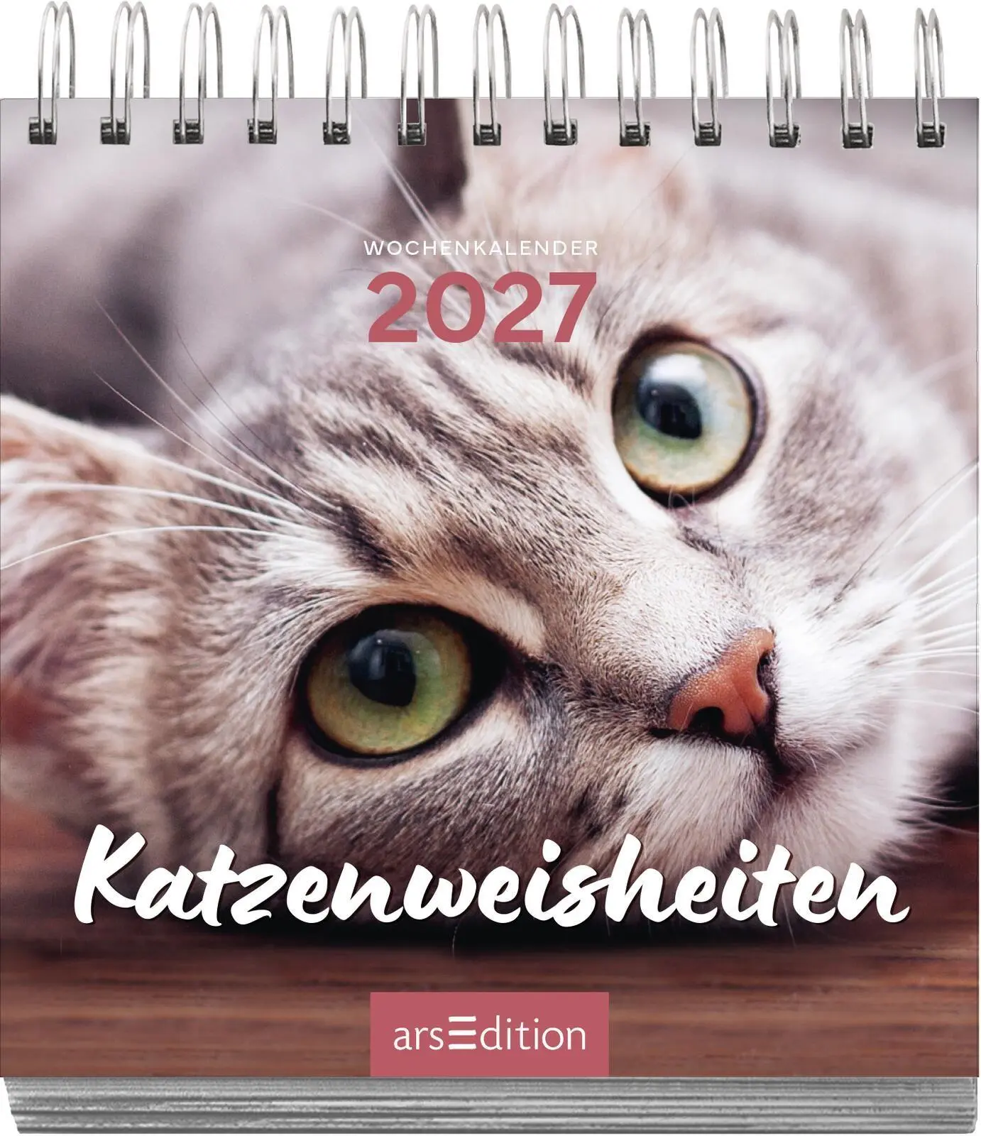 Bild: 4014489139898 | Mini-Wochenkalender Katzenweisheiten 2027 | Kalender | 108 S. | 2027
