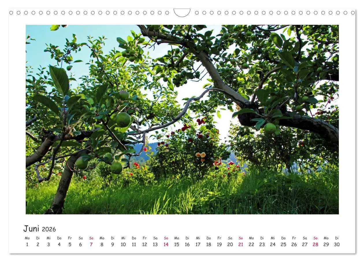 Bild: 9783516239898 | Tor des Südens (Wandkalender 2026 DIN A3 quer), CALVENDO...
