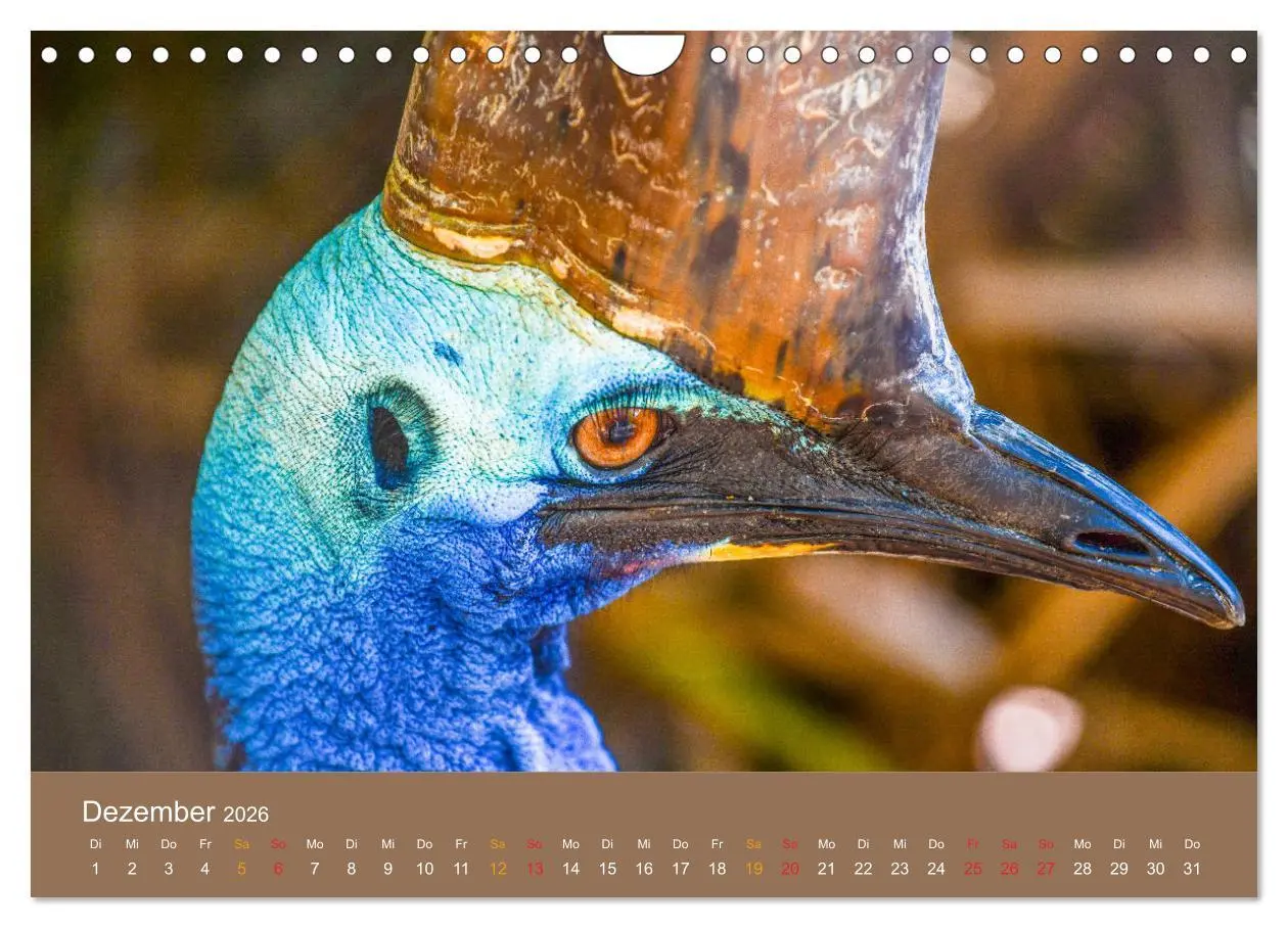 Bild: 9783457759998 | Australien, tierischer Kontinent (Wandkalender 2026 DIN A4 quer),...