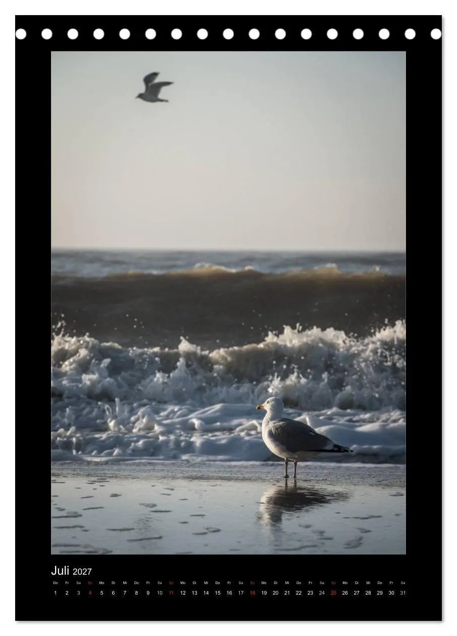 Bild: 9783594139998 | Geheimnisvolles Sylt 2027 (Tischkalender 2027 DIN A5 hoch),...