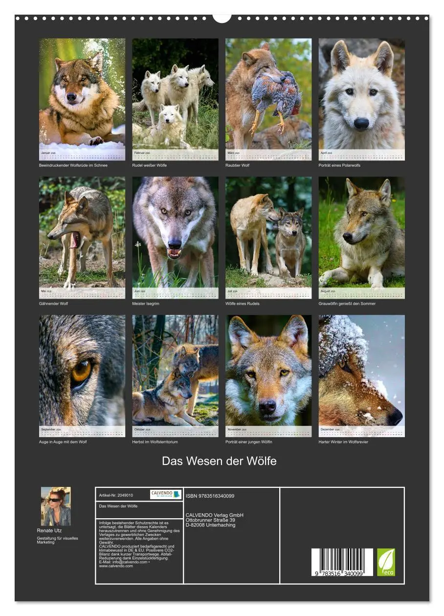 Bild: 9783516340099 | Das Wesen der Wölfe (hochwertiger Premium Wandkalender 2026 DIN A2...
