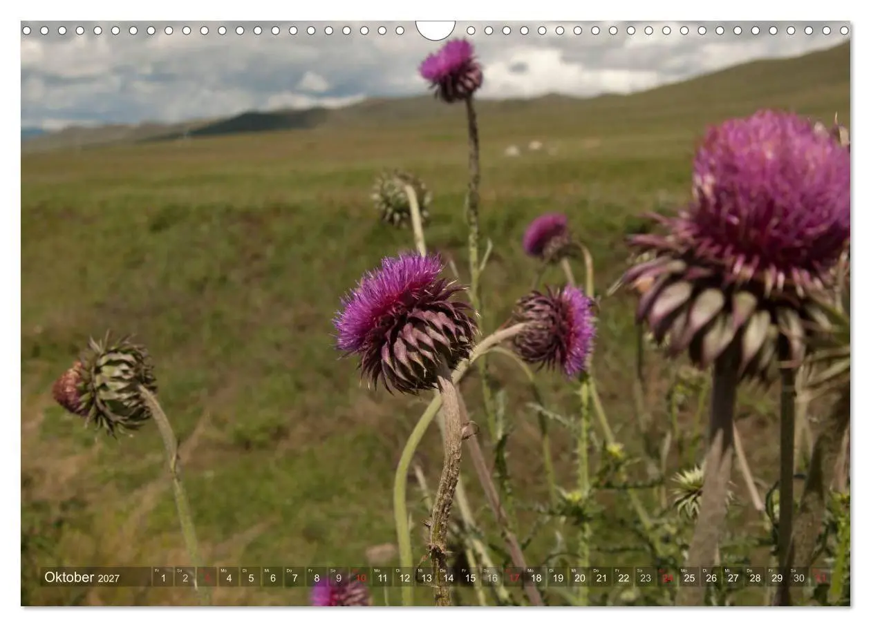 Bild: 9783569980099 | Mongolei - weites Land (Wandkalender 2027 DIN A3 quer), CALVENDO...
