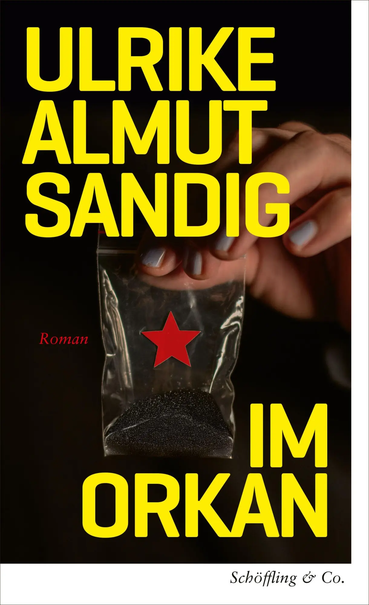 Cover: 9783690970099 | Im Orkan | Ulrike Almut Sandig | Buch | 208 S. | Deutsch | 2026