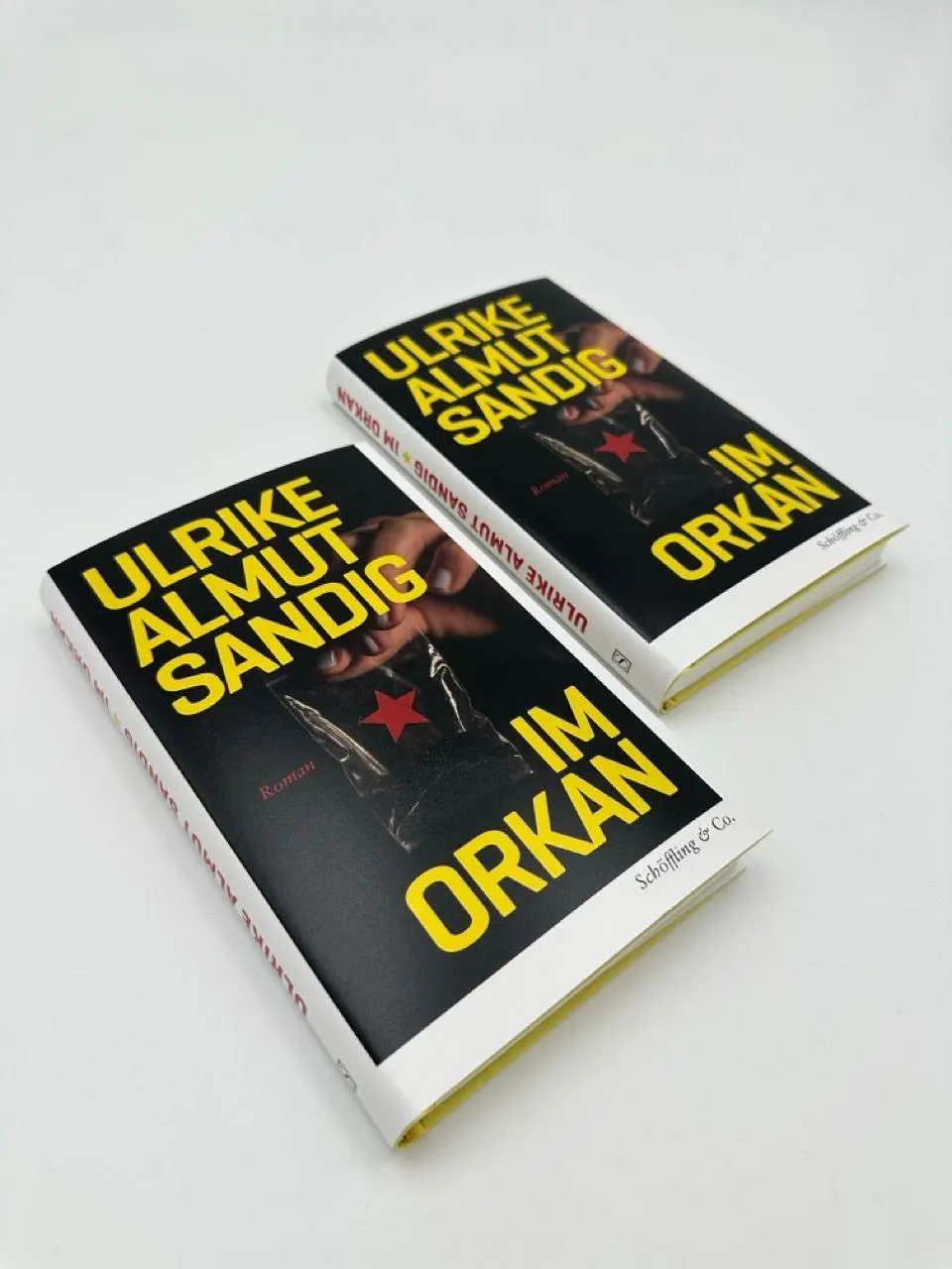 Bild: 9783690970099 | Im Orkan | Ulrike Almut Sandig | Buch | 208 S. | Deutsch | 2026