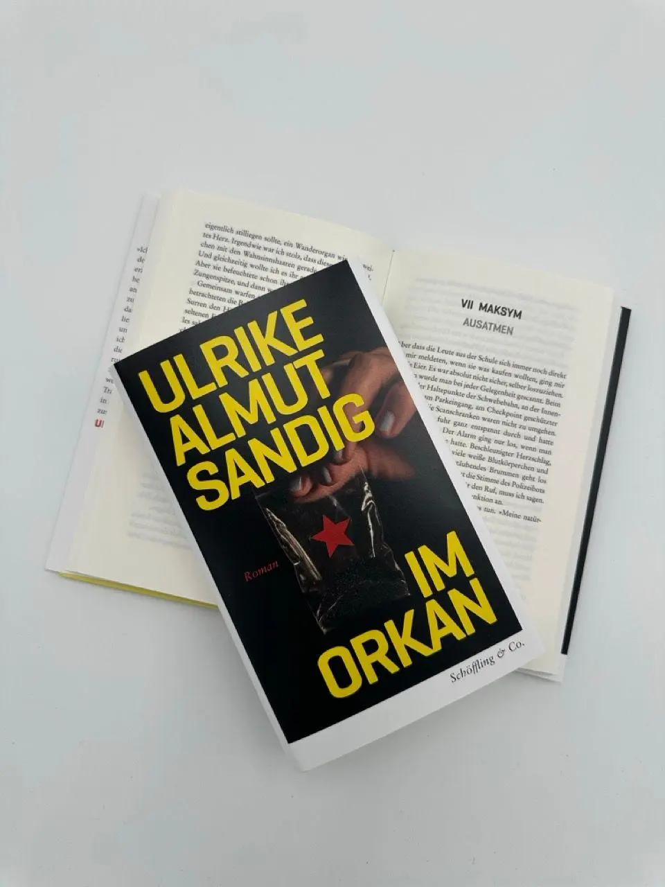 Bild: 9783690970099 | Im Orkan | Ulrike Almut Sandig | Buch | 208 S. | Deutsch | 2026