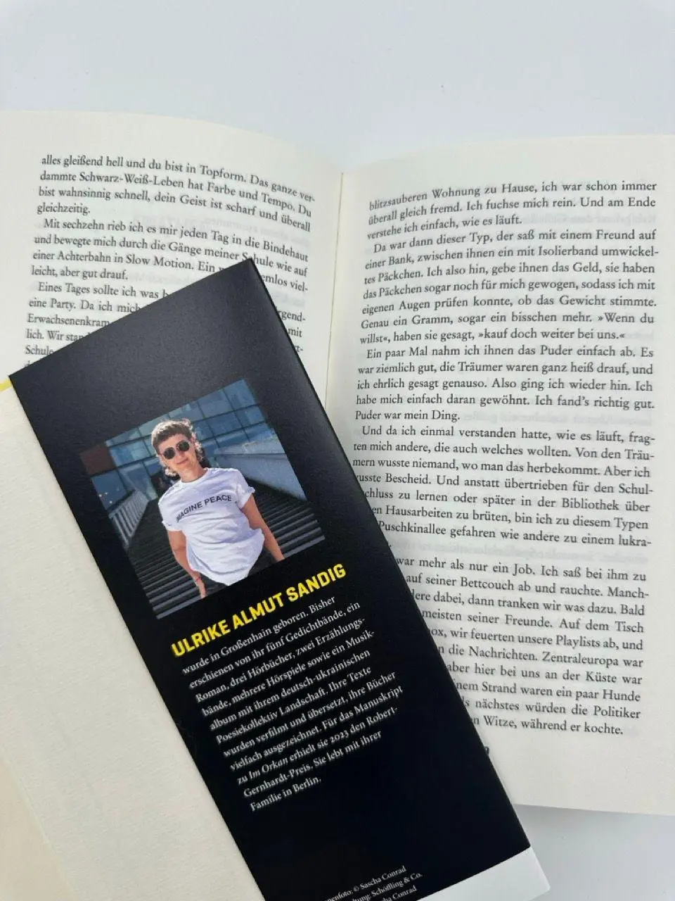 Bild: 9783690970099 | Im Orkan | Ulrike Almut Sandig | Buch | 208 S. | Deutsch | 2026