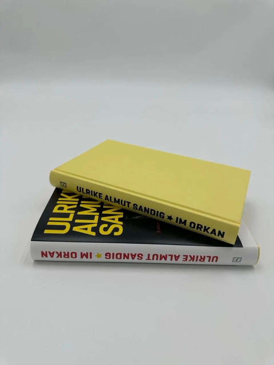 Bild: 9783690970099 | Im Orkan | Ulrike Almut Sandig | Buch | 208 S. | Deutsch | 2026