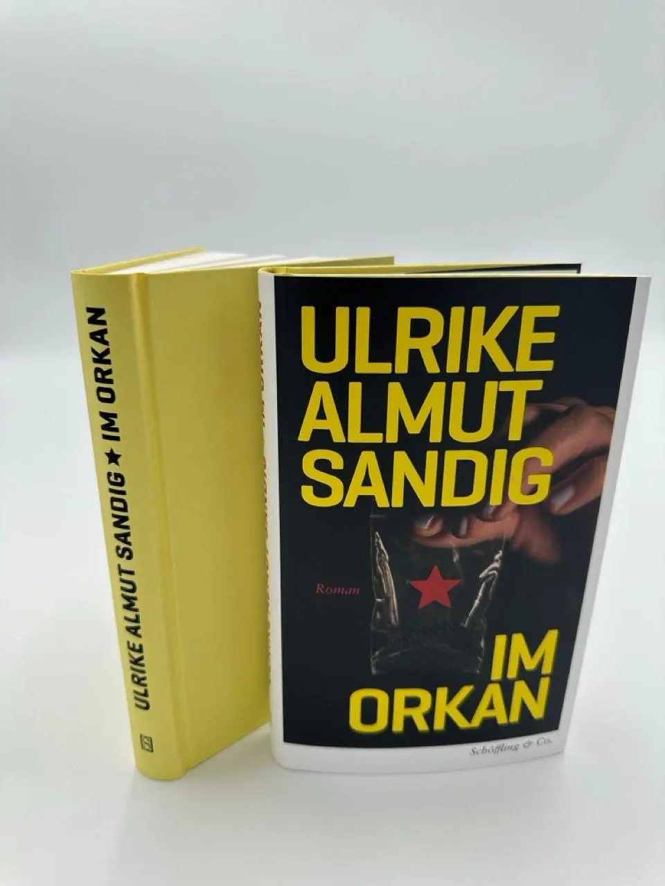 Bild: 9783690970099 | Im Orkan | Ulrike Almut Sandig | Buch | 208 S. | Deutsch | 2026