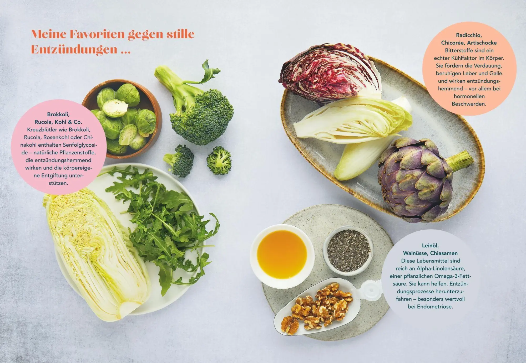 Bild: 9783758900099 | Der Endometriose-Balance-Plan | Matthias Riedl | Buch | 176 S. | 2026