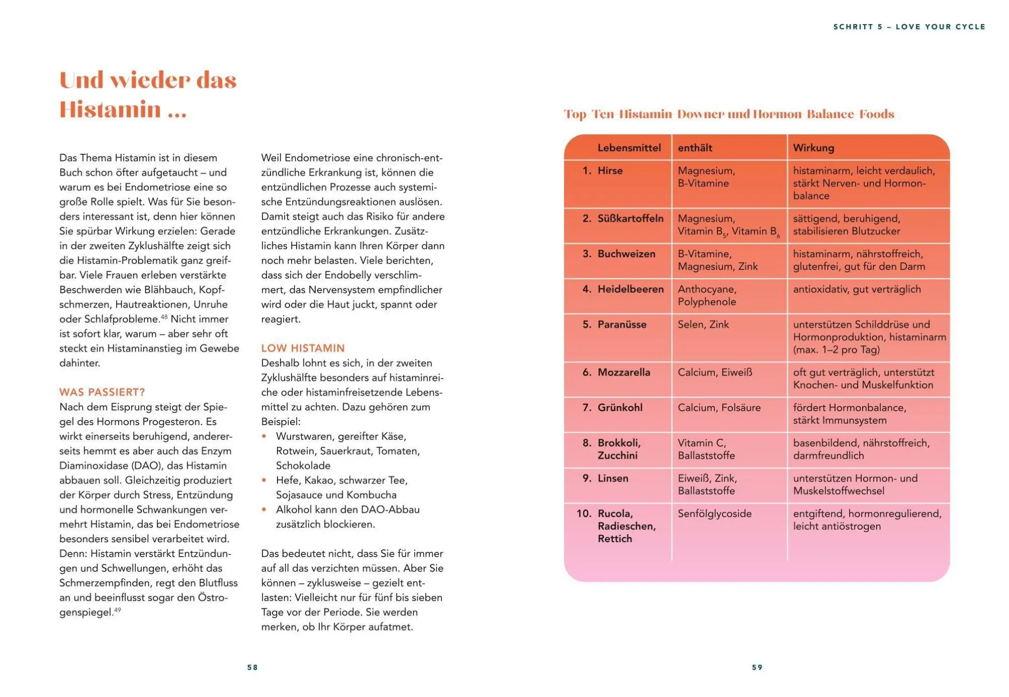 Bild: 9783758900099 | Der Endometriose-Balance-Plan | Matthias Riedl | Buch | 176 S. | 2026