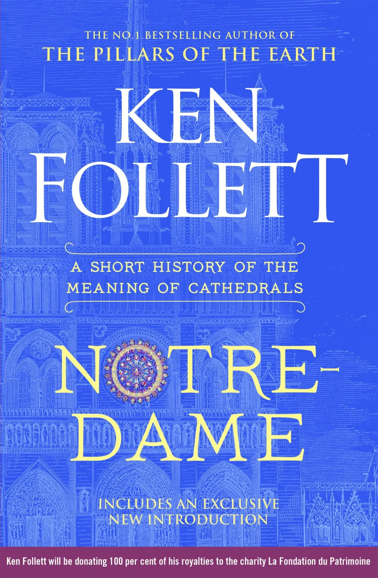 Cover: 9781035080199 | Notre-Dame | A Short History of the Meaning of Cathedrals | Follett
