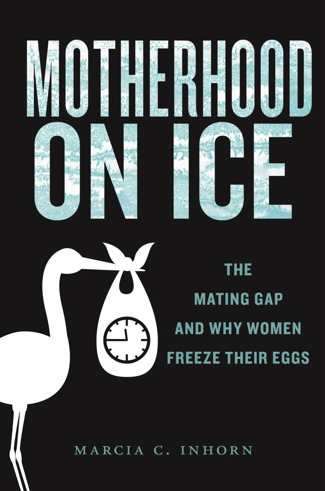 Cover: 9781479840199 | Motherhood on Ice | The Mating Gap and Why Women Freeze Their Eggs