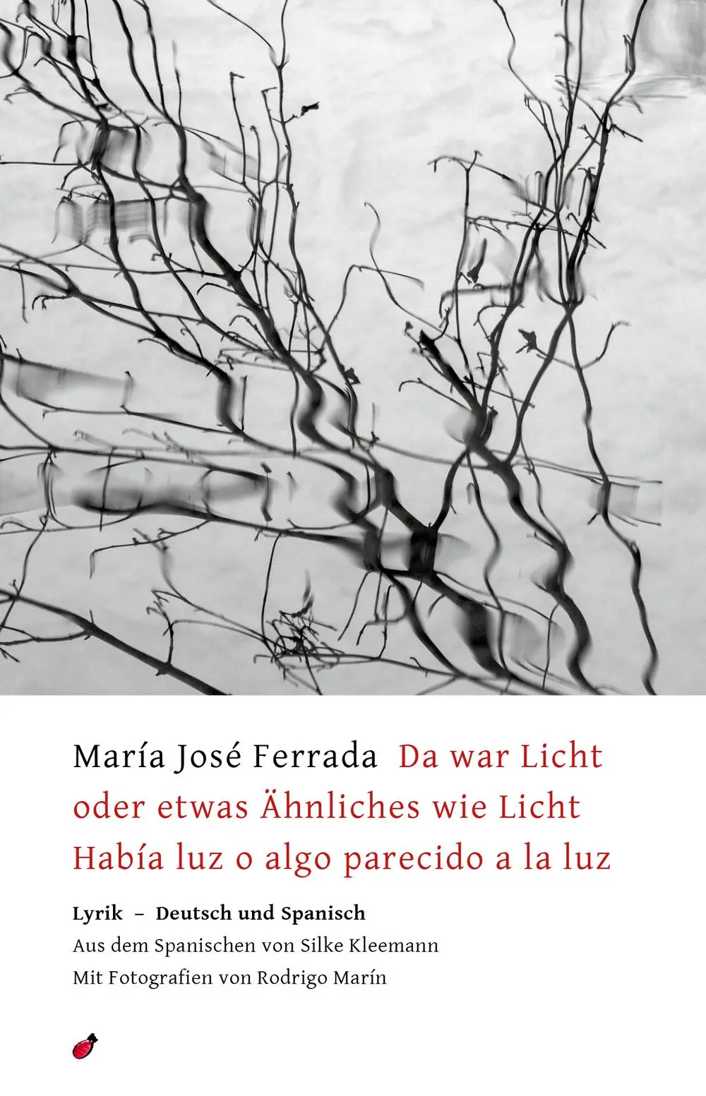 Cover: 9783962520199 | Da war Licht oder etwas Ähnliches wie Licht / Había luz o algo...