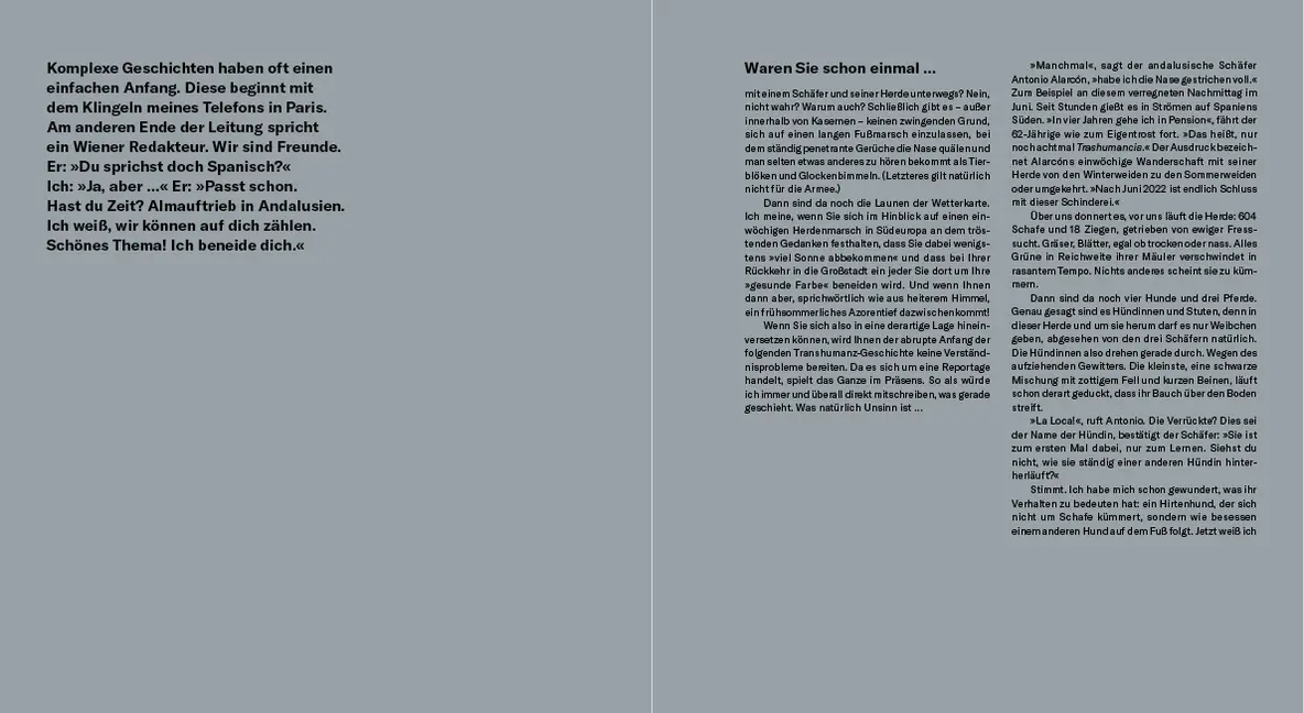 Bild: 9783990550199 | Zug der Schafe | Susana Girón | Buch | 176 S. | Deutsch | 2019