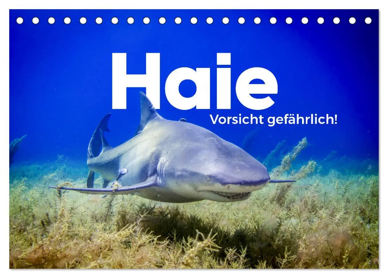 Cover: 9783457540299 | Haie - Vorsicht gefährlich! (Tischkalender 2026 DIN A5 quer),...