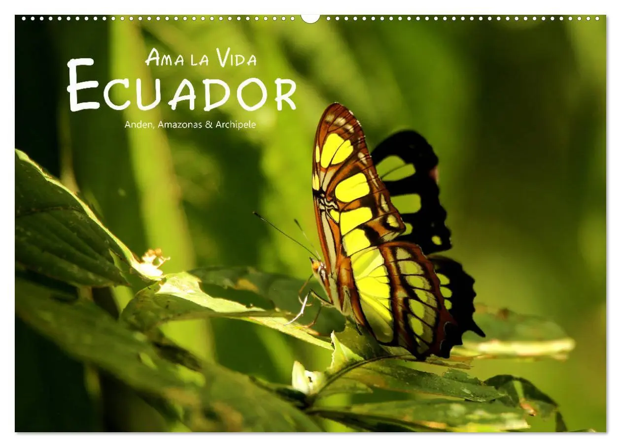 Cover: 9783457920299 | Ama la Vida Ecuador (Wandkalender 2026 DIN A2 quer), CALVENDO...