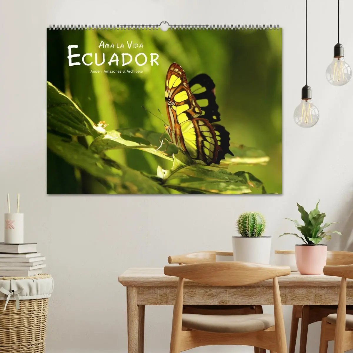 Bild: 9783457920299 | Ama la Vida Ecuador (Wandkalender 2026 DIN A2 quer), CALVENDO...