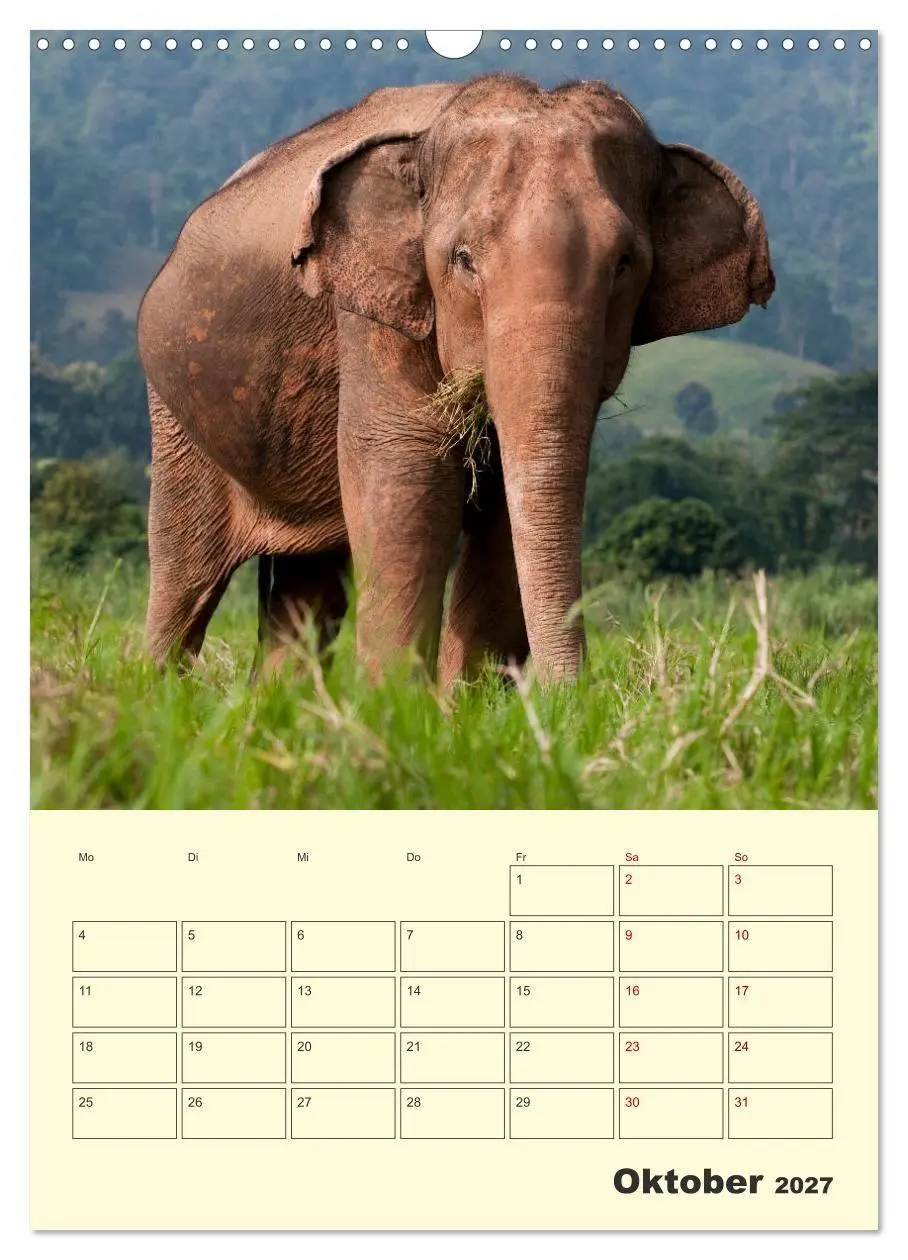 Bild: 9783569580299 | ELEFANTEN - Asiens graue Riesen (Wandkalender 2027 DIN A3 hoch),...