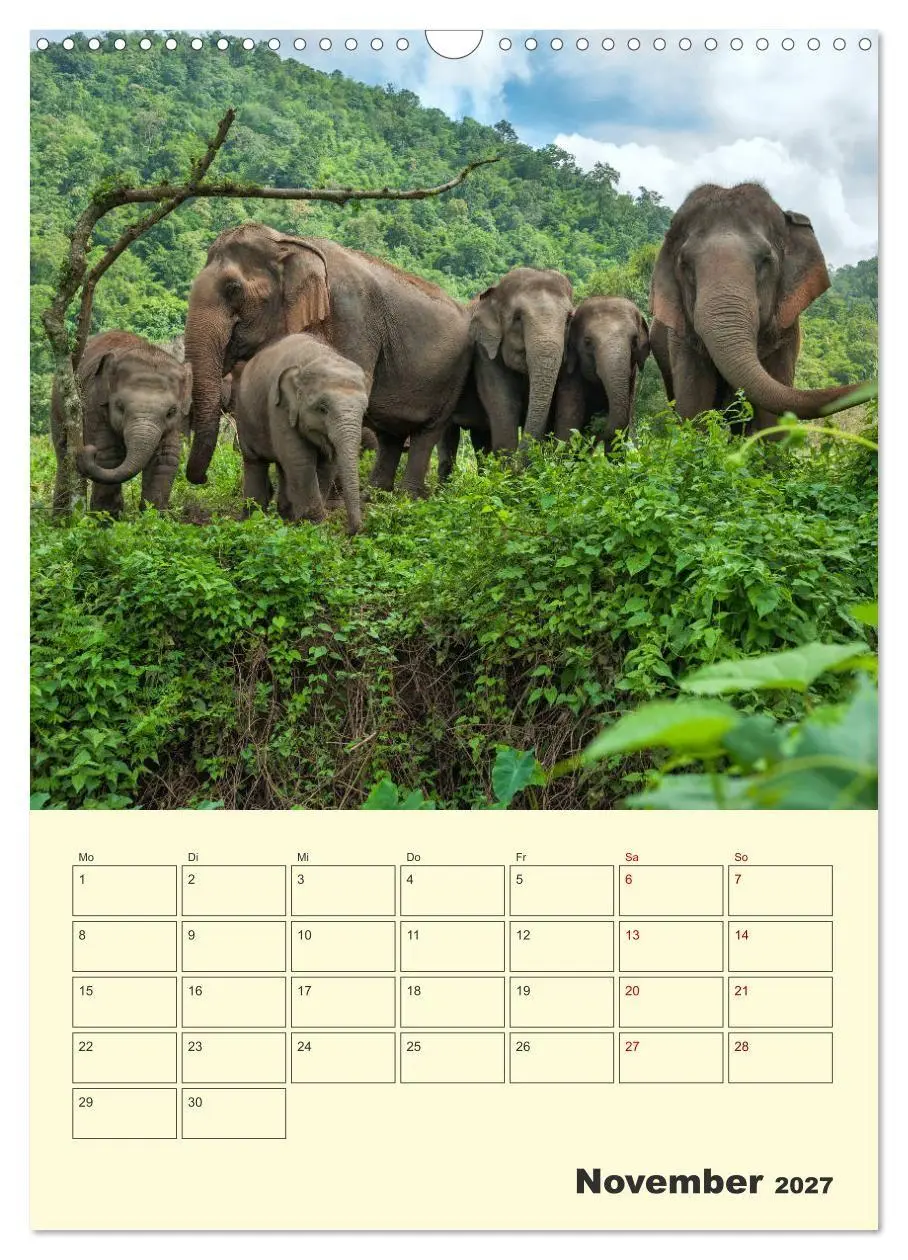 Bild: 9783569580299 | ELEFANTEN - Asiens graue Riesen (Wandkalender 2027 DIN A3 hoch),...