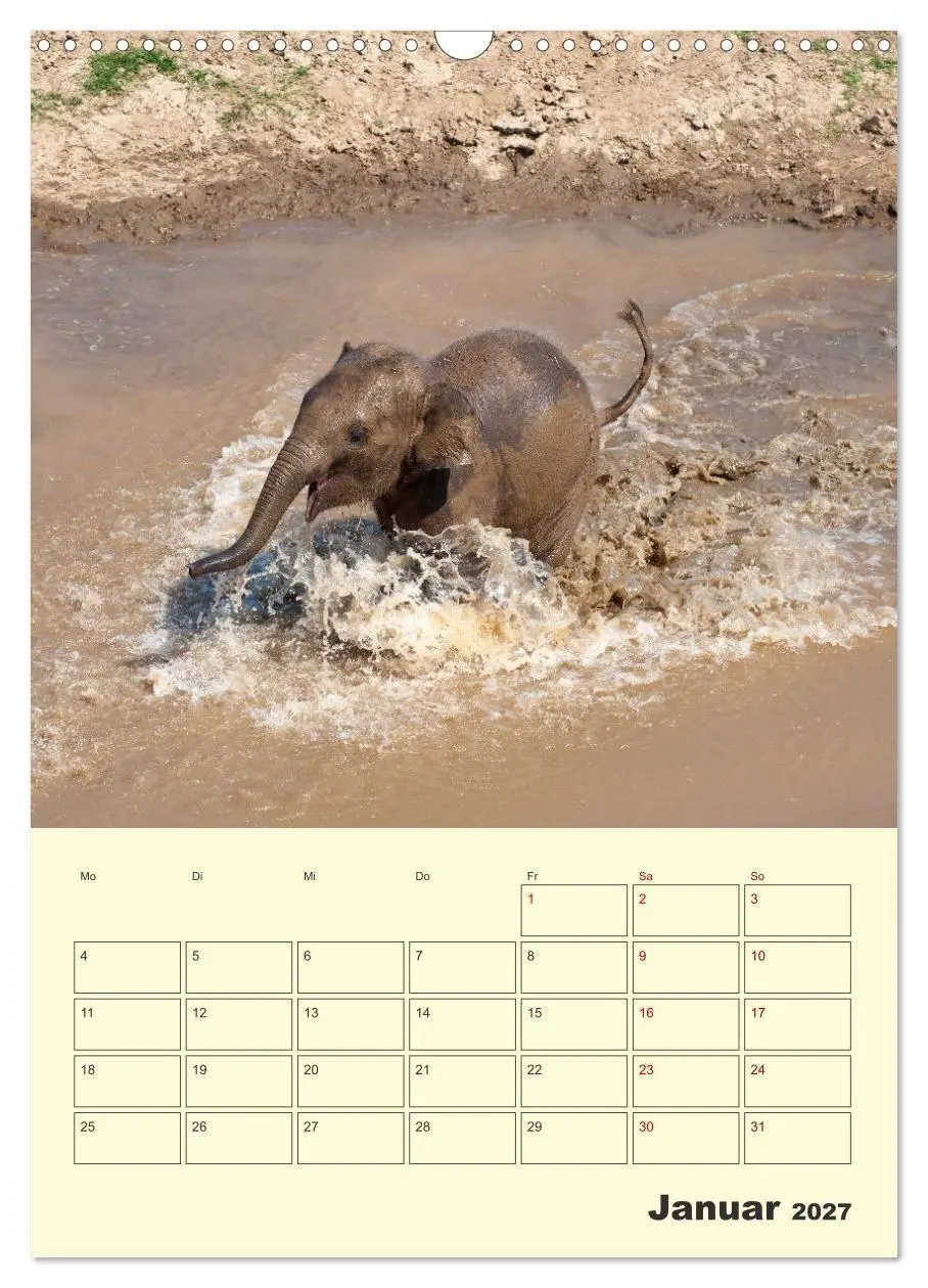 Bild: 9783569580299 | ELEFANTEN - Asiens graue Riesen (Wandkalender 2027 DIN A3 hoch),...
