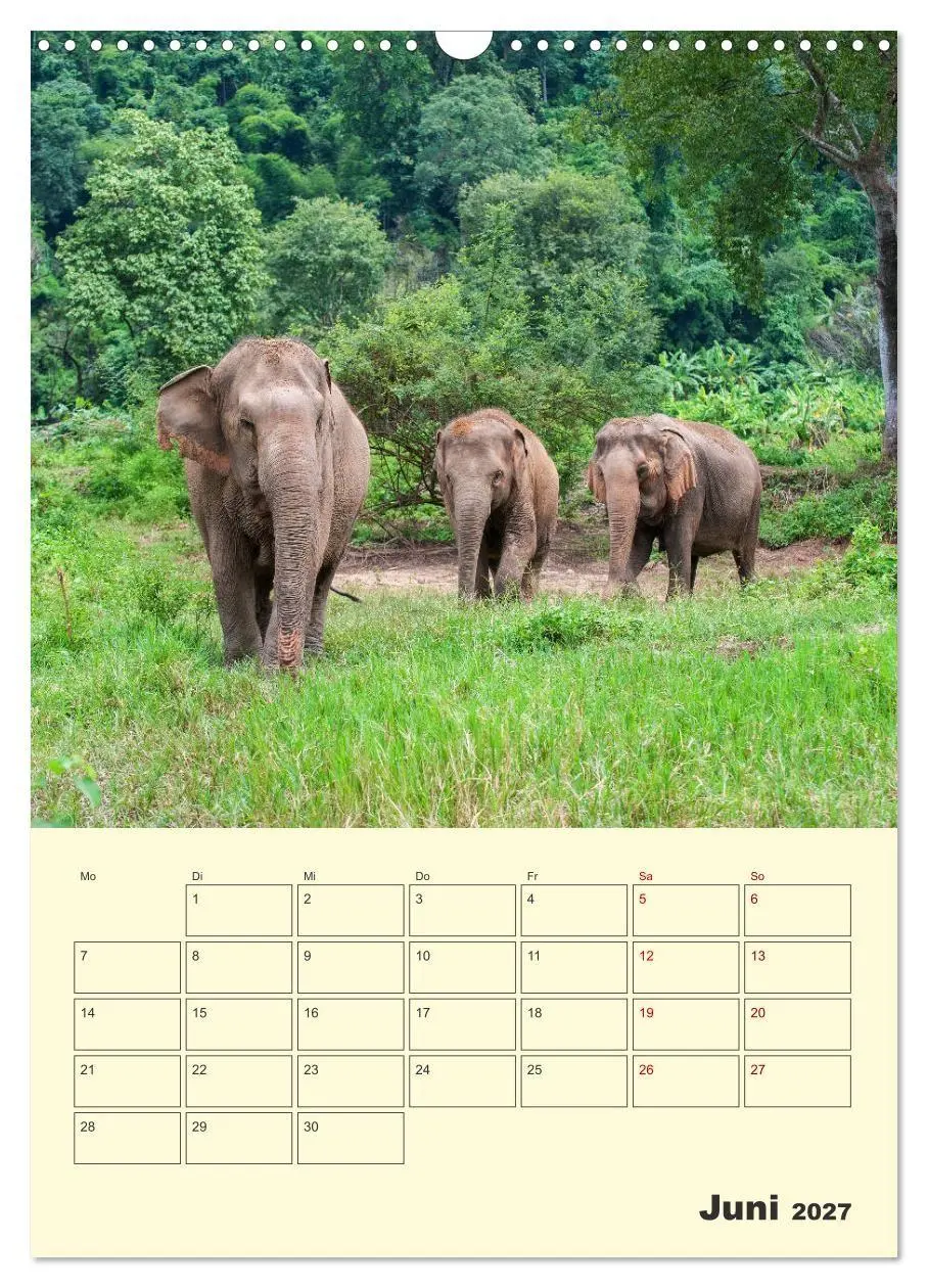 Bild: 9783569580299 | ELEFANTEN - Asiens graue Riesen (Wandkalender 2027 DIN A3 hoch),...