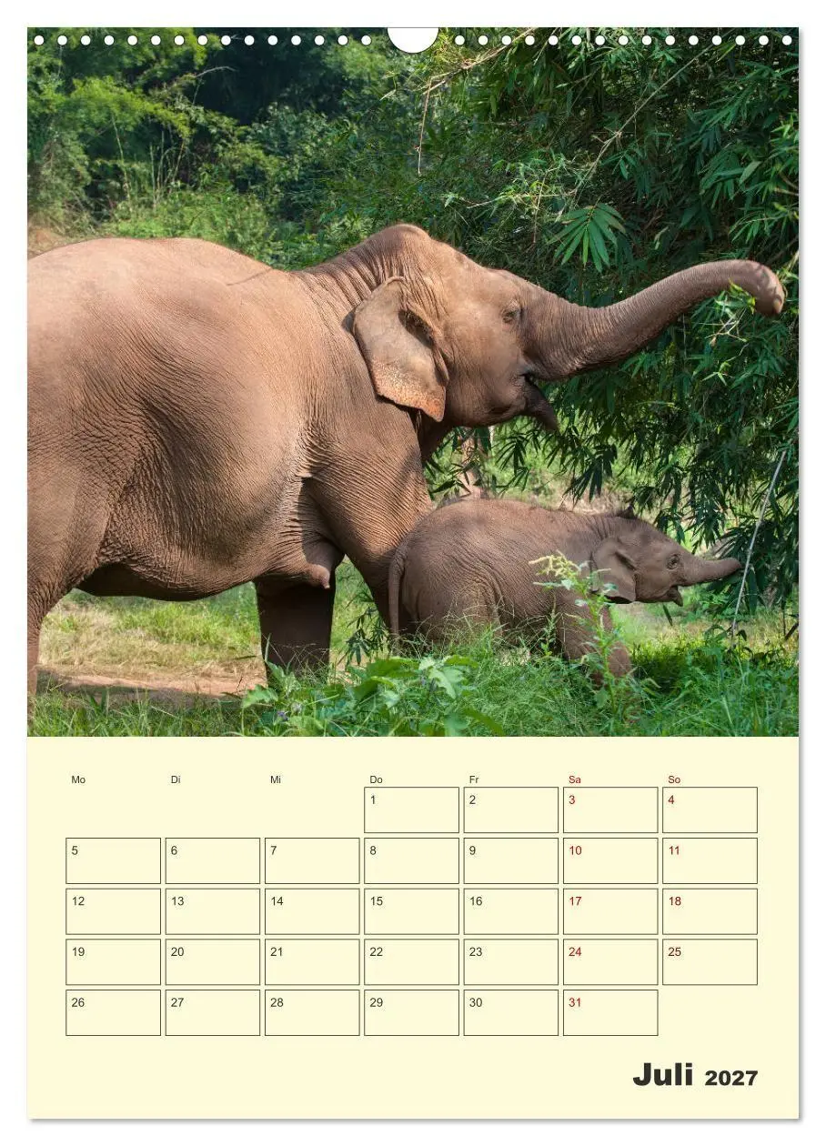 Bild: 9783569580299 | ELEFANTEN - Asiens graue Riesen (Wandkalender 2027 DIN A3 hoch),...