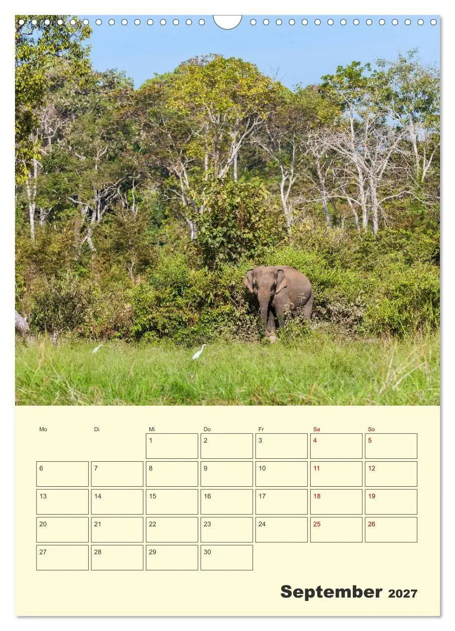 Bild: 9783569580299 | ELEFANTEN - Asiens graue Riesen (Wandkalender 2027 DIN A3 hoch),...