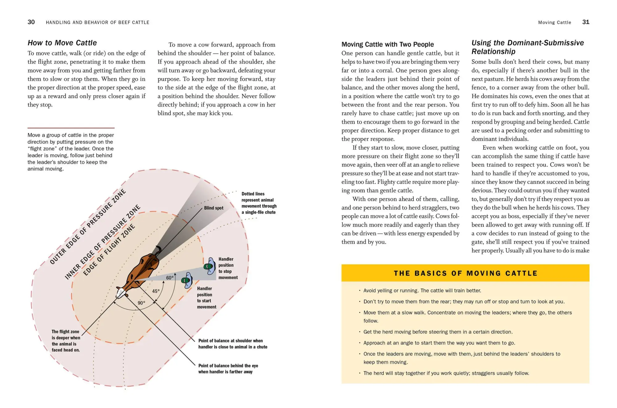 Bild: 9781635860399 | Storey's Guide to Raising Beef Cattle, 4th Edition | Thomas | Buch