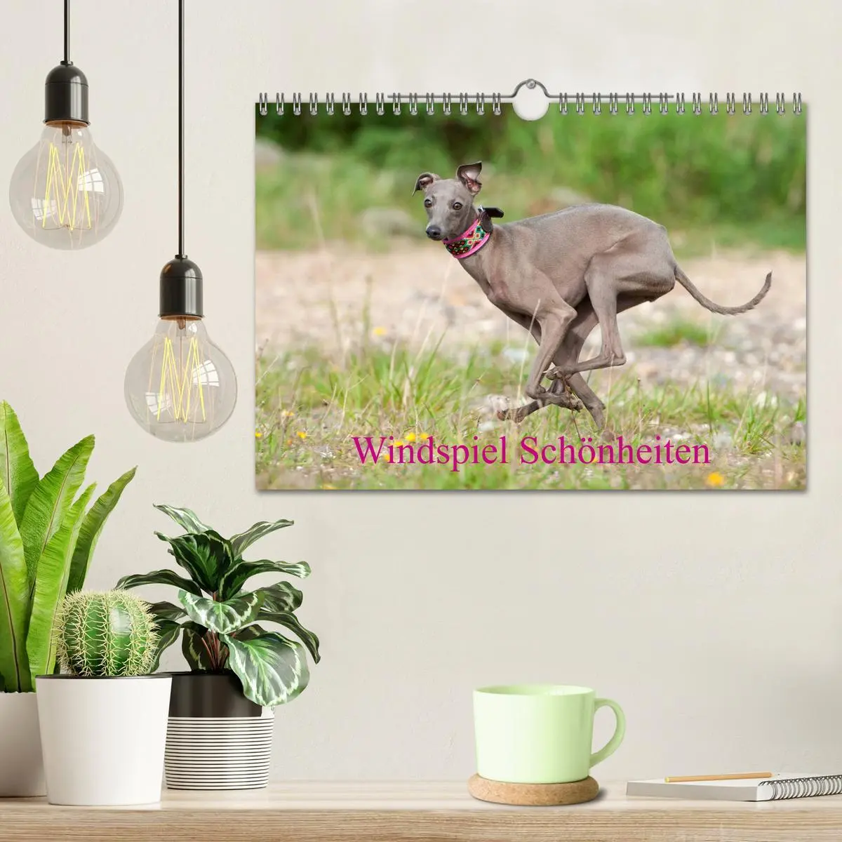 Bild: 9783457840399 | Windspiel Schönheiten (Wandkalender 2026 DIN A4 quer), CALVENDO...