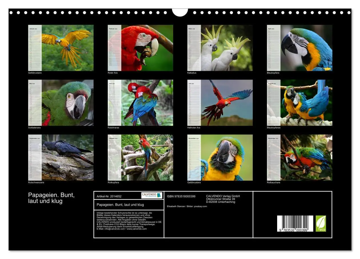 Bild: 9783516000399 | Papageien. Bunt, laut und klug (Wandkalender 2026 DIN A3 quer),...