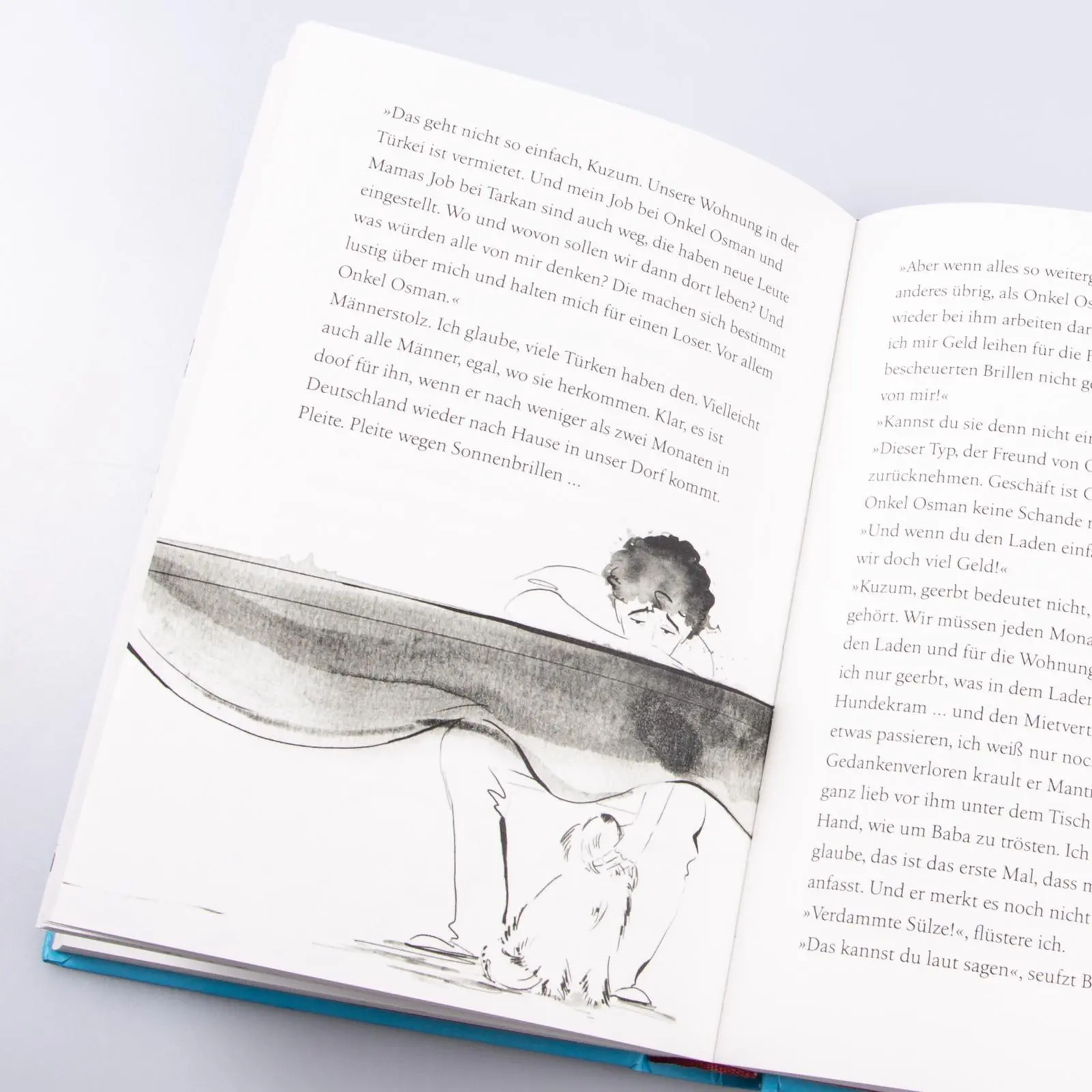 Bild: 9783551650399 | Pembo - Halb und halb macht doppelt glücklich! | Ayse Bosse | Buch