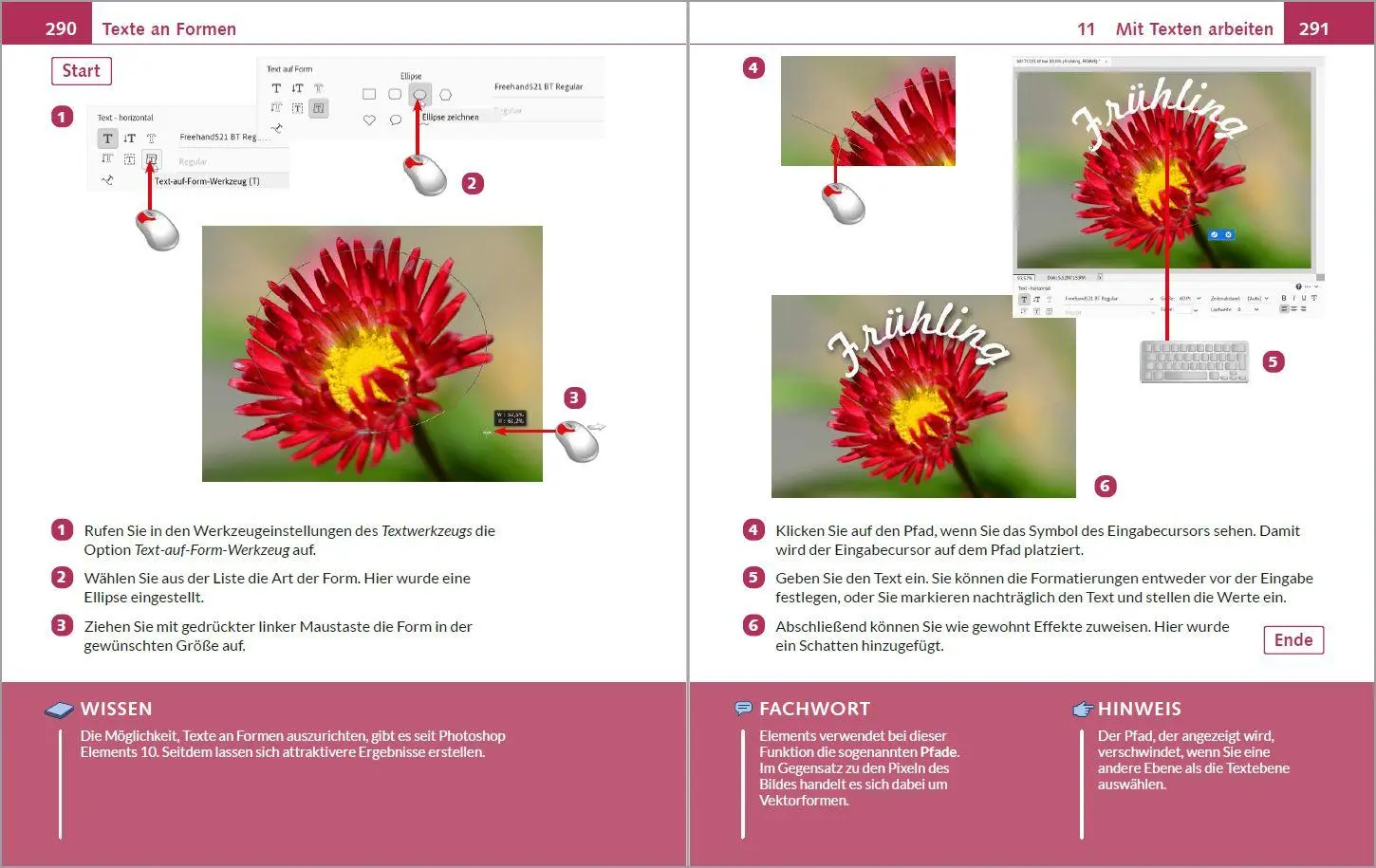 Bild: 9783988100399 | Photoshop Elements 2025 - Bild für Bild erklärt | Michael Gradias