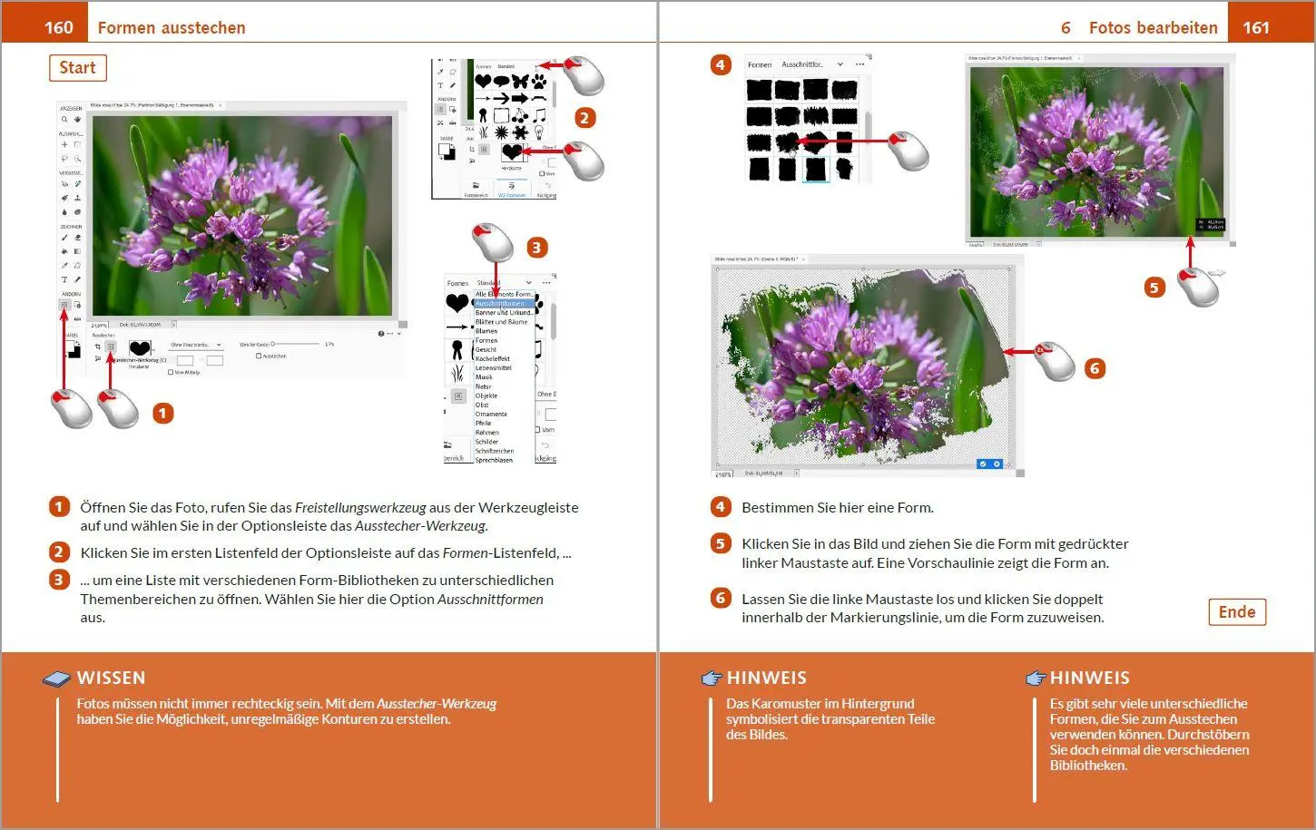 Bild: 9783988100399 | Photoshop Elements 2025 - Bild für Bild erklärt | Michael Gradias